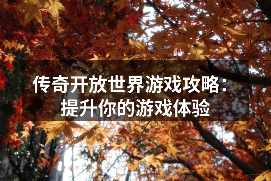 传奇开放世界游戏攻略：提升你的游戏体验